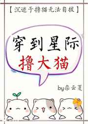 �����Ǽ�ߣ��è ���+����