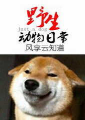 Ұ��������ճ�