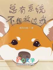 ����ϵͳ����Ź���