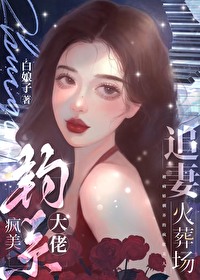 ������ϵ����׷�޻��᳡