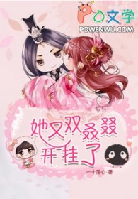 ����˫����������